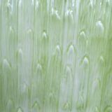 Asparagus dish in bubble