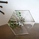 BACCARAT "Malmaison" Glass wine rhinestone double green antique - 19 cm
