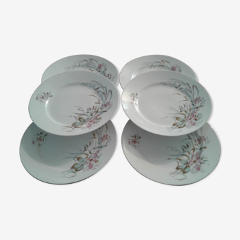 6 plates in porcelain D-Co., plant patterns