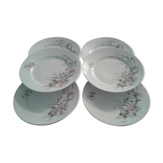 6 assiettes en porcelaine D&Co, motifs végétaux