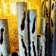 Brutalist Wall Lamps By Marcel Fantoni For Fantoni Studio Firenze, Italy 1960S