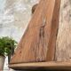 Solid wood workbench