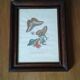 Lot de 2 lithographies de papillons
