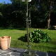 Art deco wrought iron floor lamp with arrows