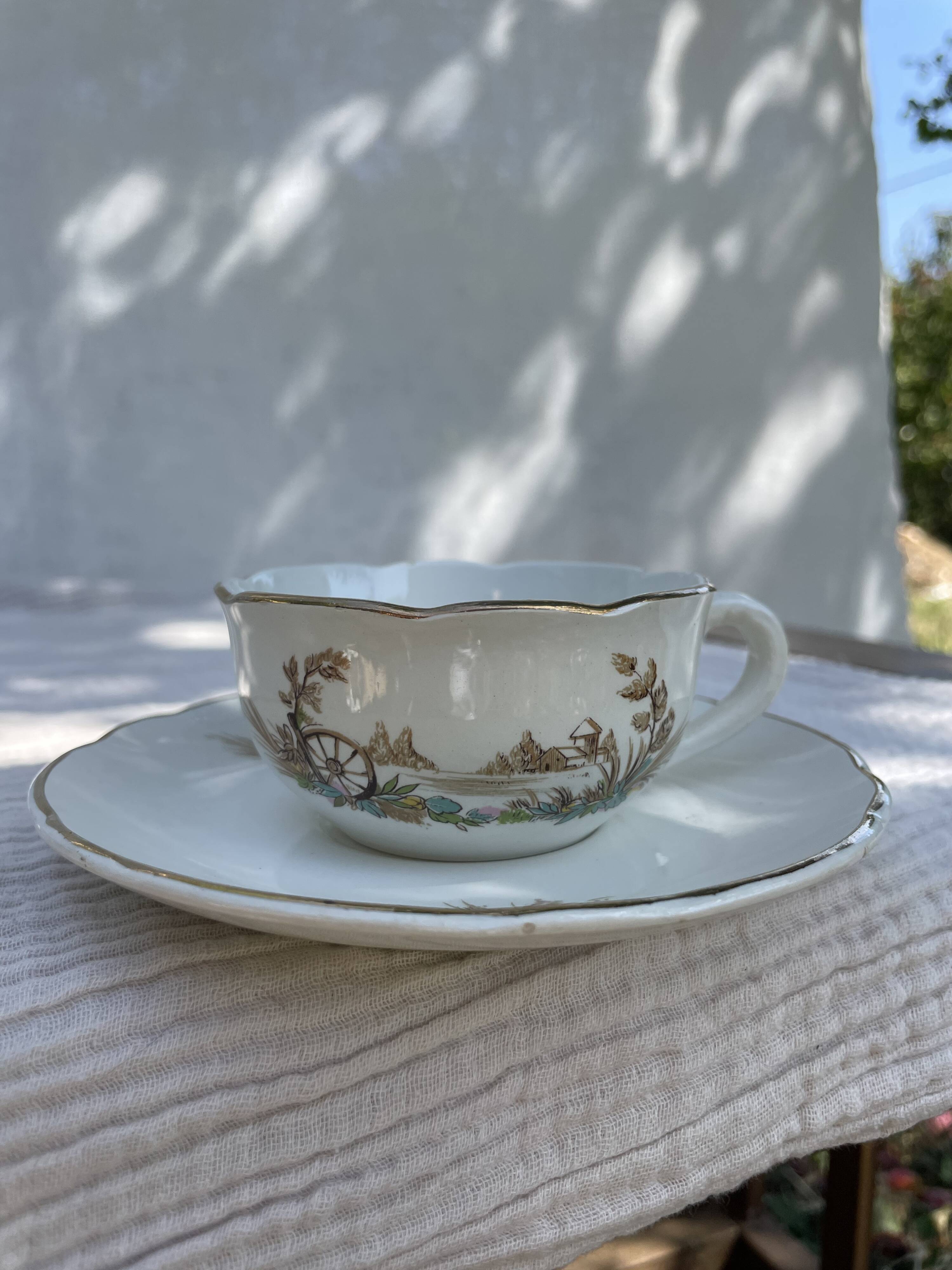 Vintage set of 5 porcelain plates and 5 cups – Digoin Sarreguemines