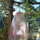 Suspension globe en verre moulé rose