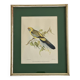 cadre oiseau