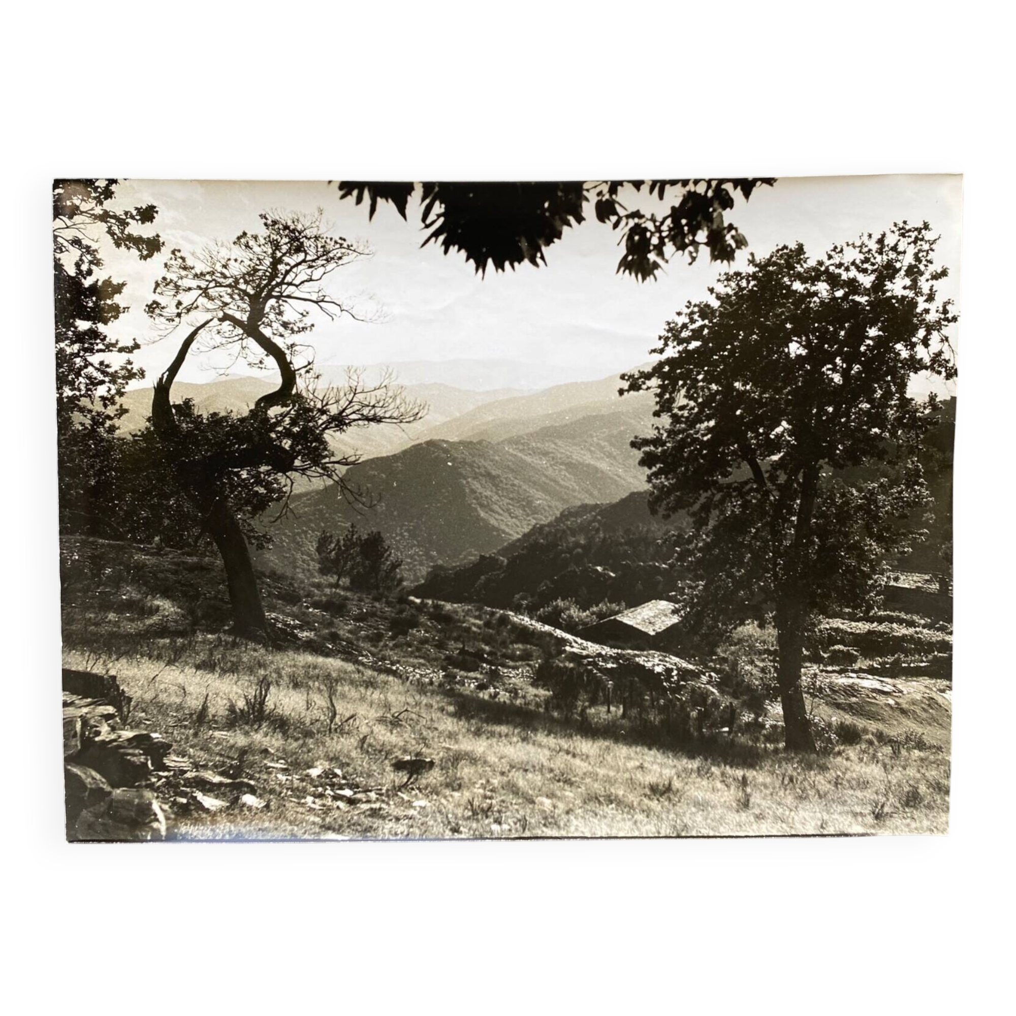 Silver gelatin photograph, Petite Bergerie Montagnes, Bernard Darot, 20th century
