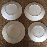 Set of 4 Iron Earth plates