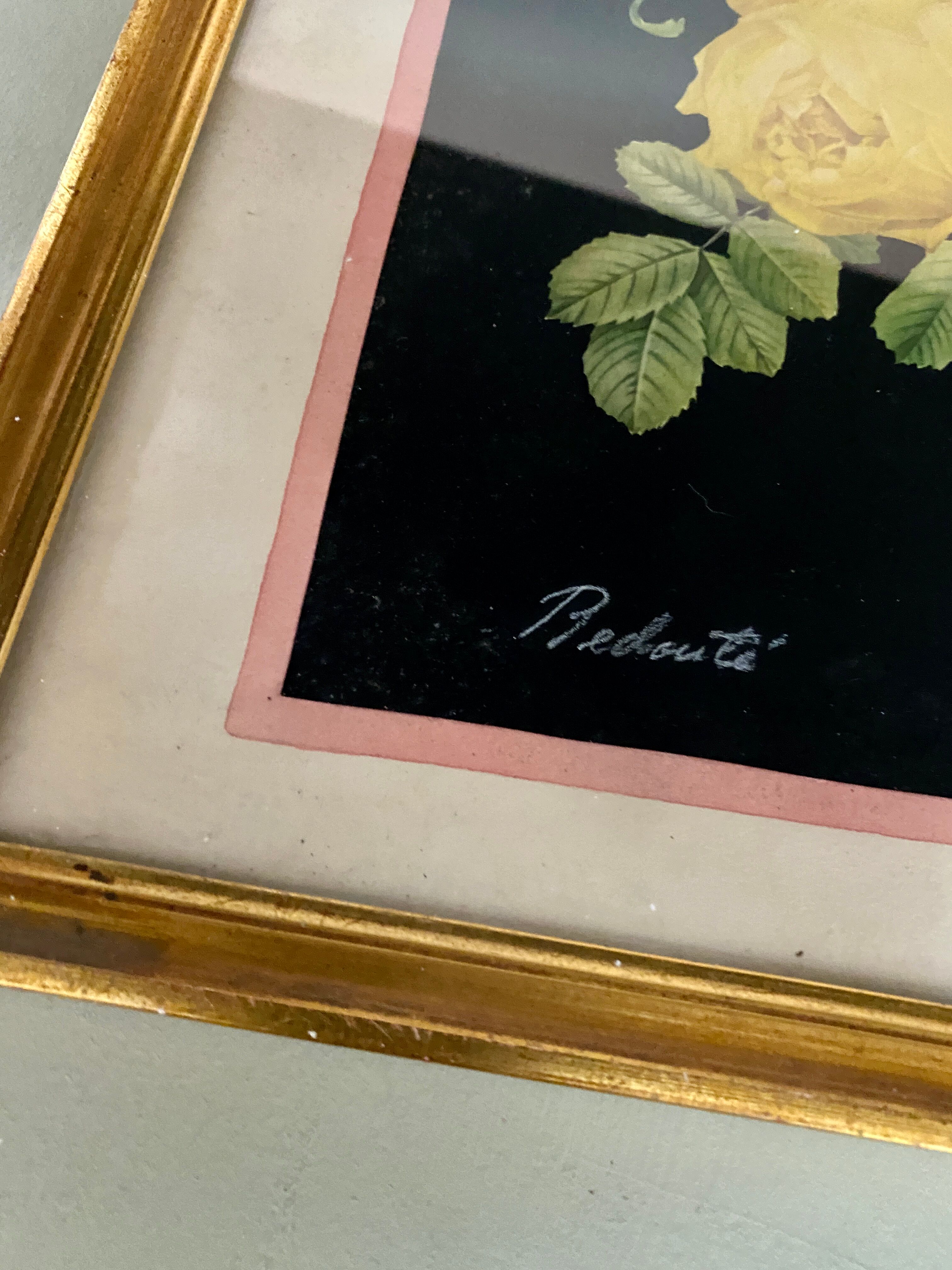 Framed poster vintage pinks yellow feared