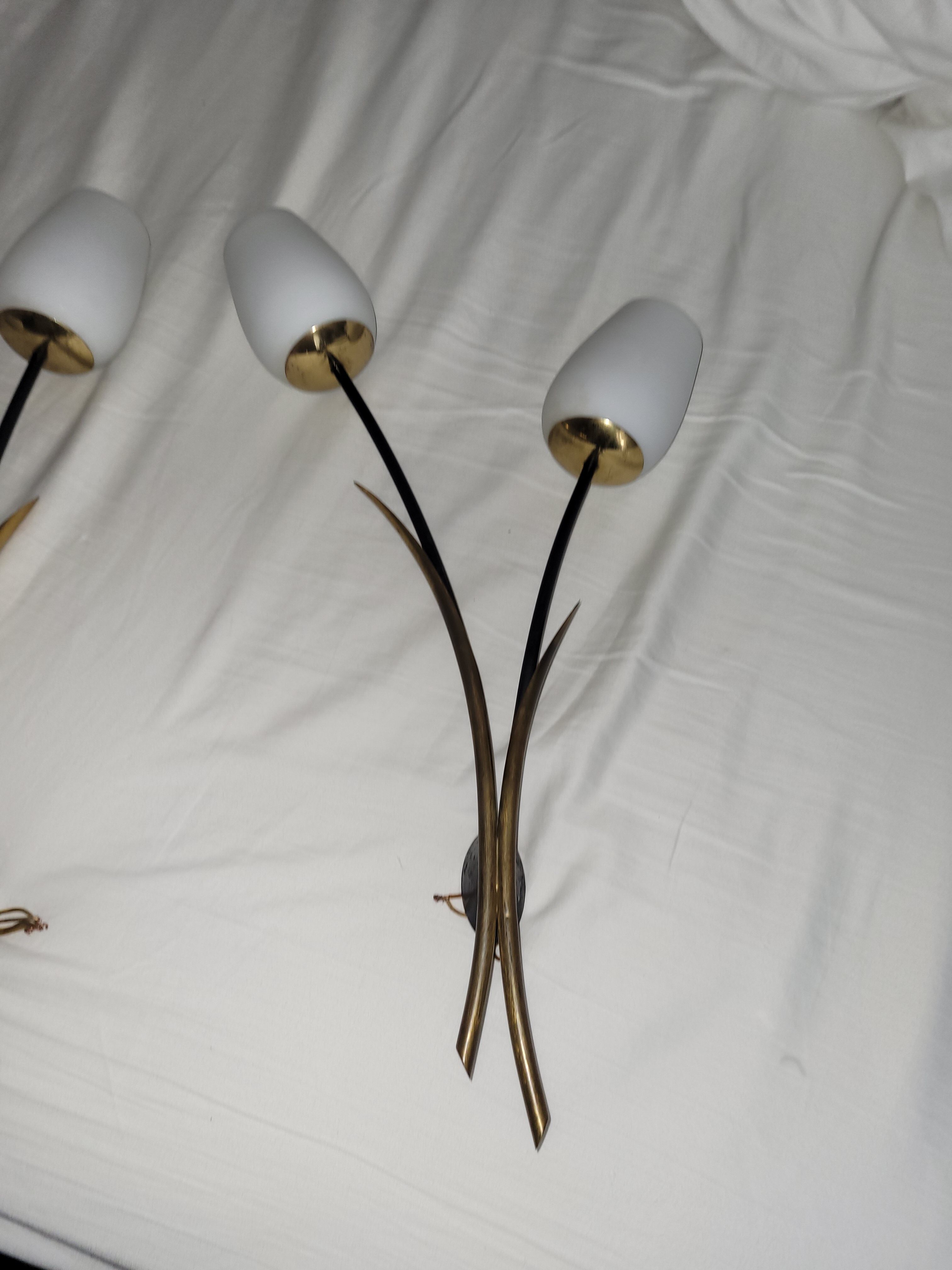 Paire appliques vintage Lunel roseaux 1960