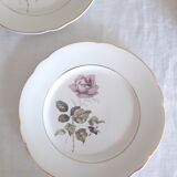 Flat plates Lunéville Badonvillier