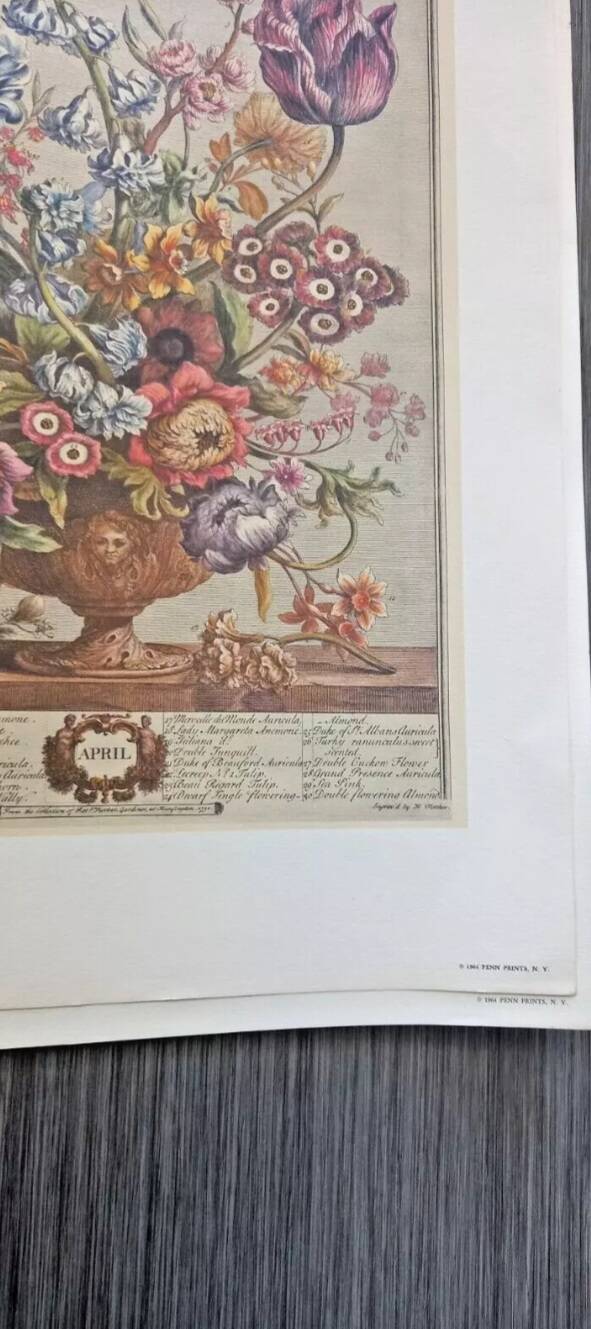 Lot of 19th century Floral Engravings - Vintage Art Print Flowers - 12 months - Robert Furber