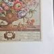 Lot of 19th century Floral Engravings - Vintage Art Print Flowers - 12 months - Robert Furber