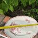 🍽️ Large antique oval dish – Opaque porcelain from Gien – Fuchsi decoration