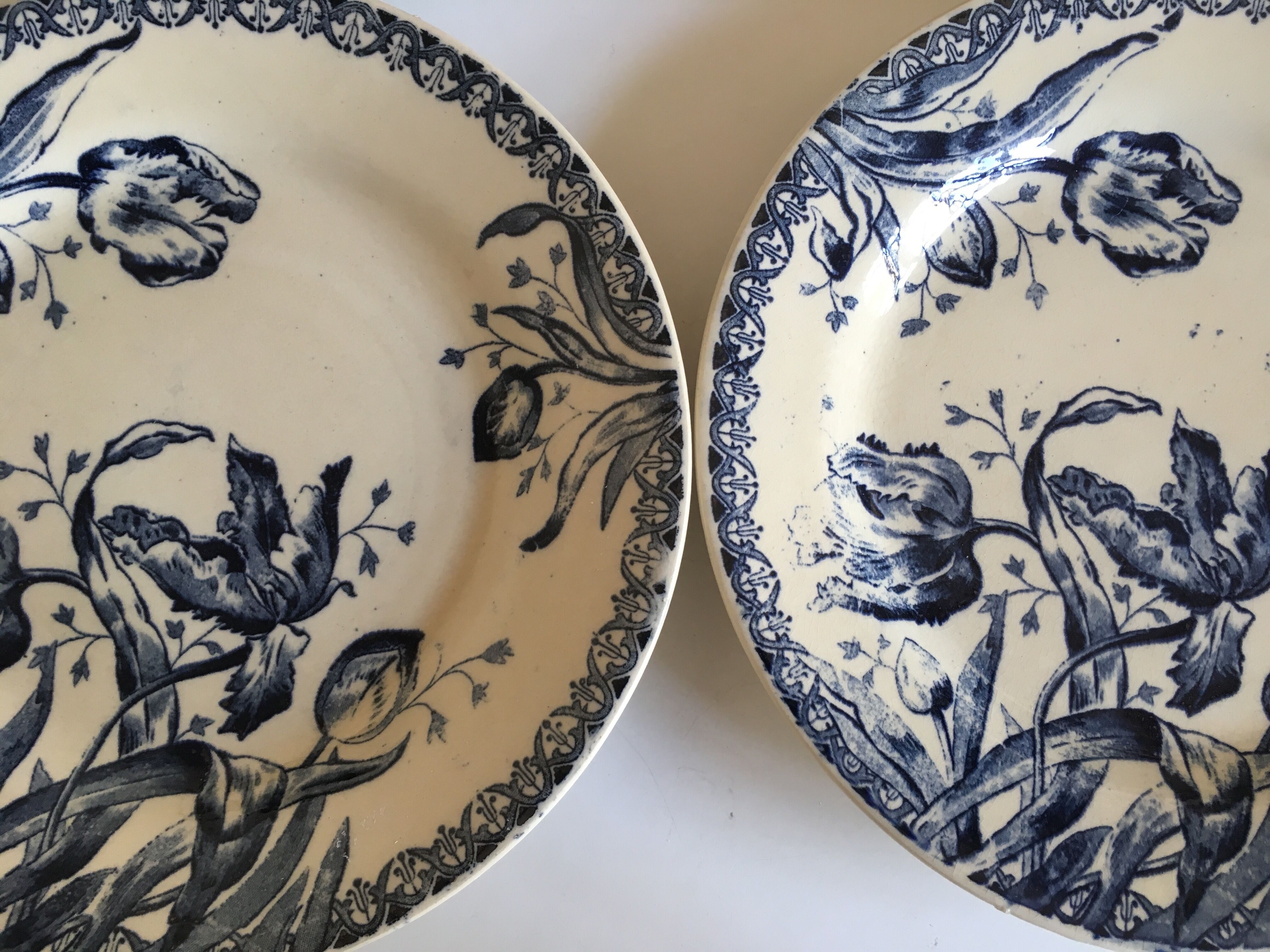 Set of 6 flat Tulips earthenware plates of Gien of the nineteenth century