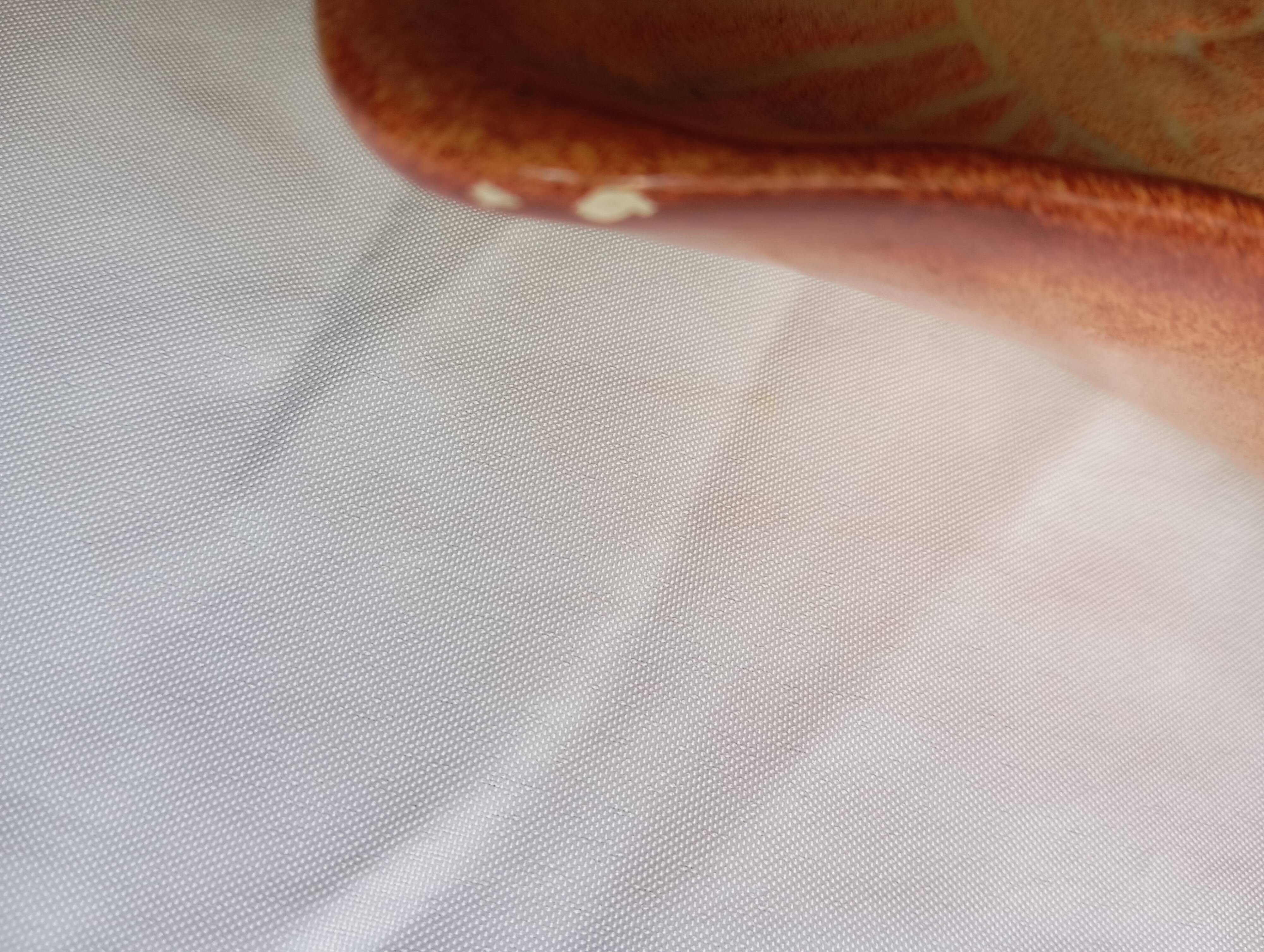 Vallauris earthenware fish dish