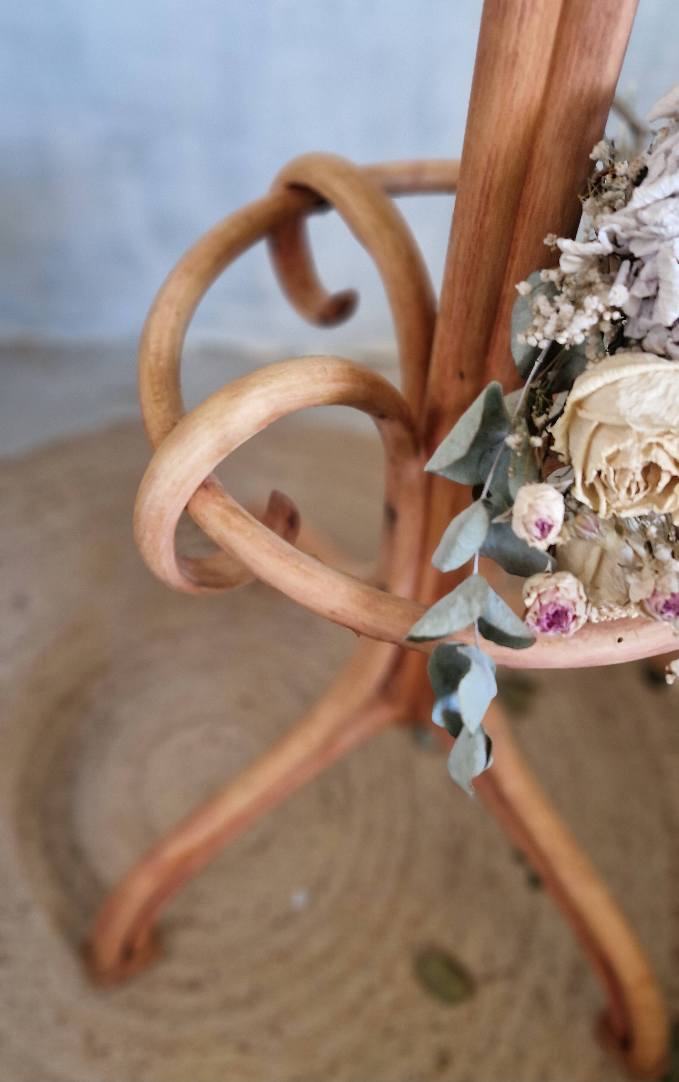 Beautiful Thonet parrot coat rack