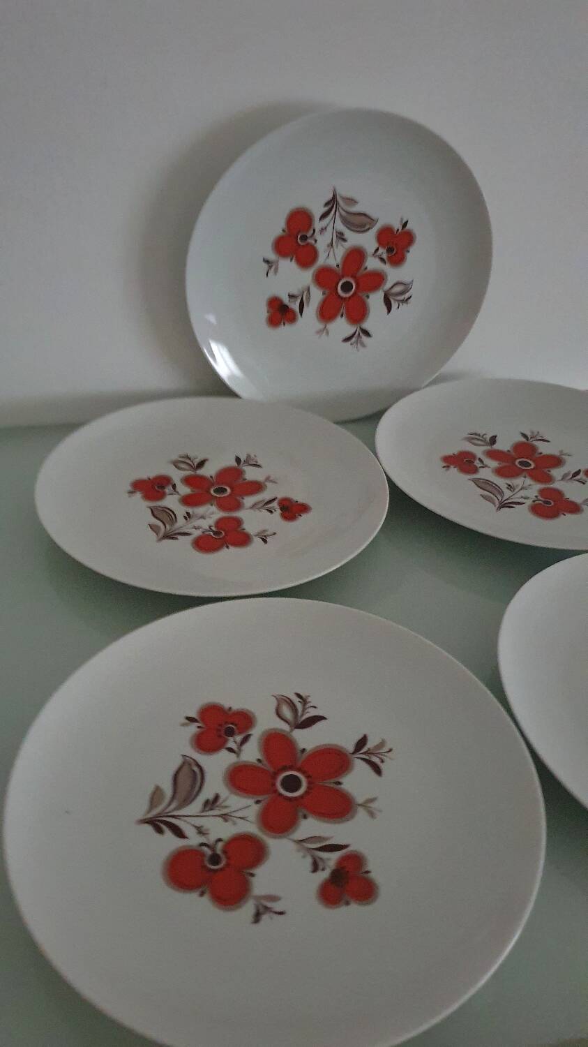 Set of 5 flat plates - Arzberg earthenware - 1960/70
