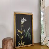 Pastel pencil drawing