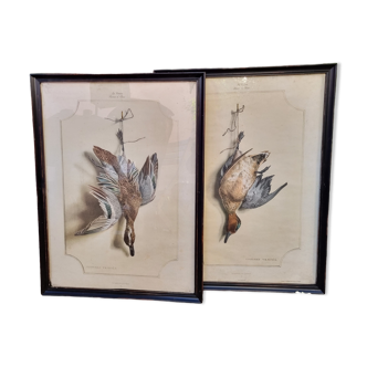 Pair of engravings back from hunting