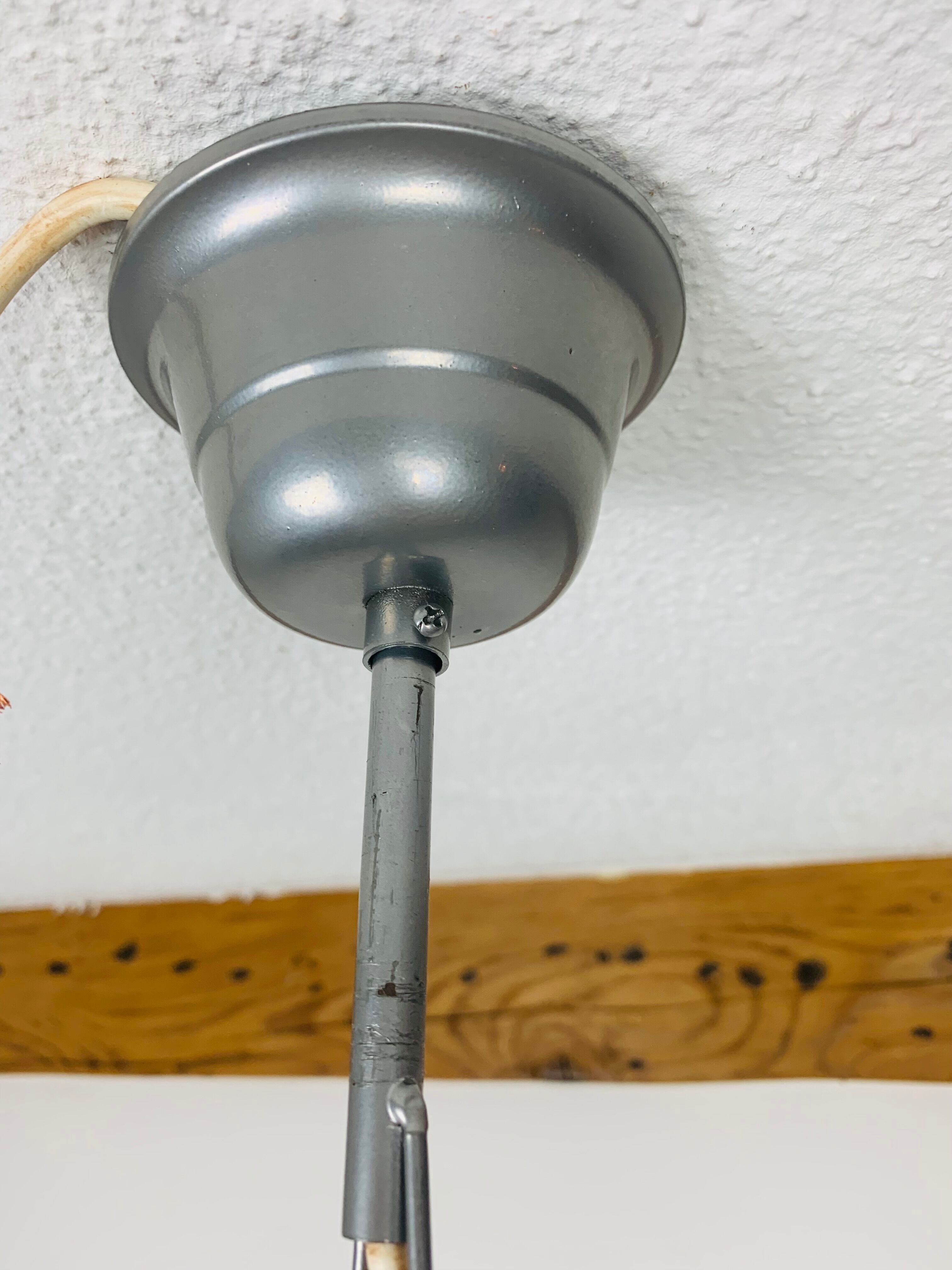 Mother-of-pearl grapevine suspension
