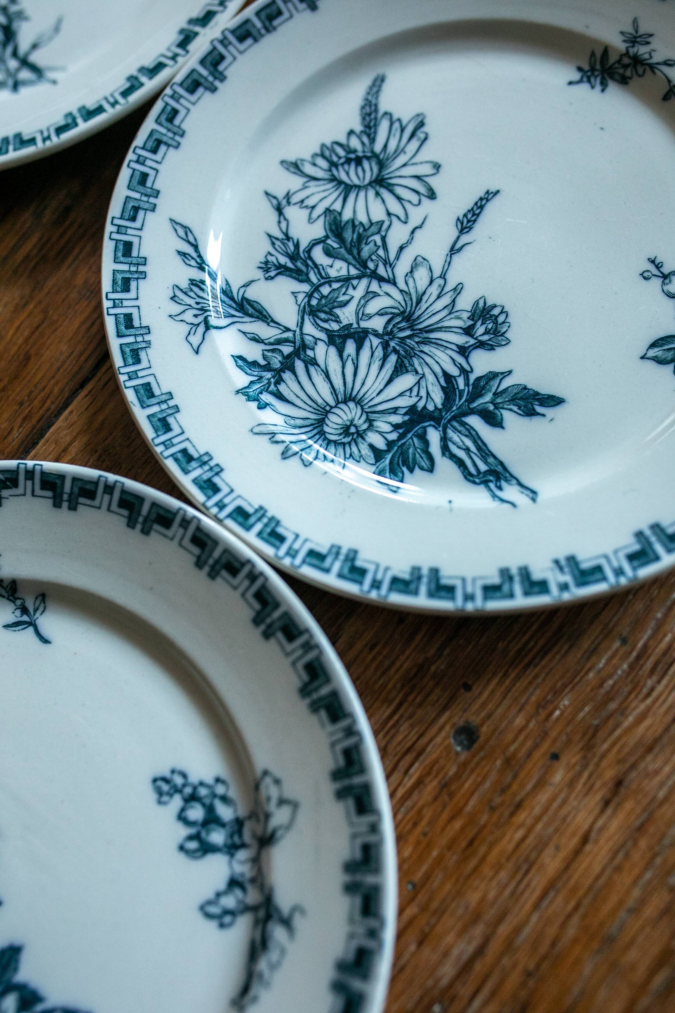 Les 6 assiettes sarreguemines