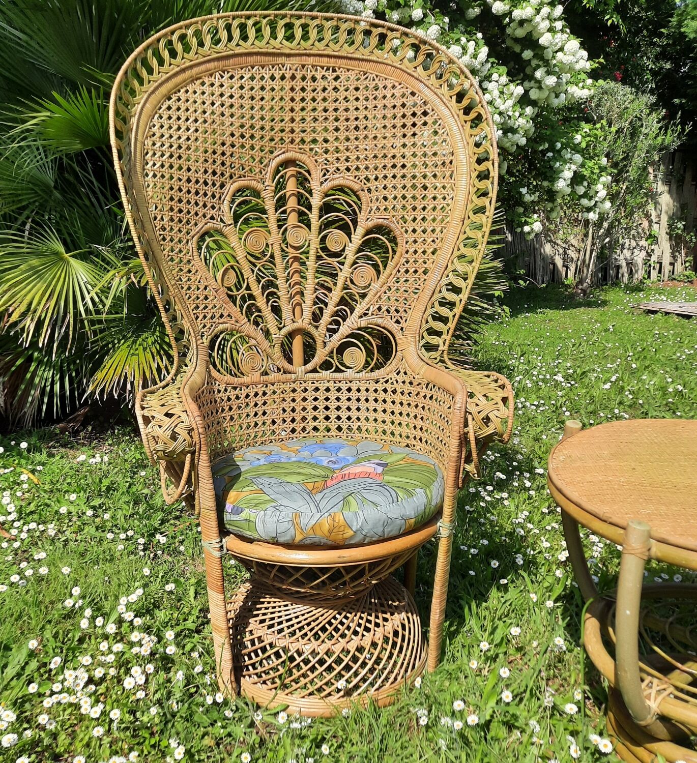 Fauteuil "Emmanuelle"