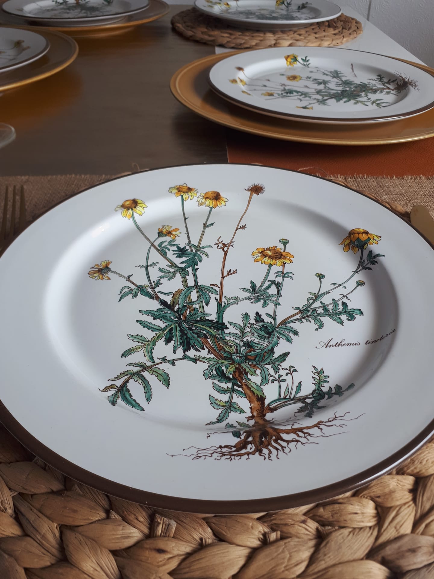 Lot of 4 flat plates "Anthemis" from the service "Botanica" of Boch