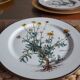 Lot of 4 flat plates "Anthemis" from the service "Botanica" of Boch
