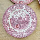 8 English Ironstone decor plates