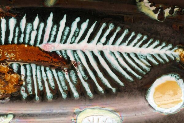 Plat à poisson en céramique de Vallauris signé Humblot, années 50