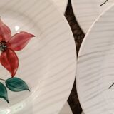 Larmor Digoin plates