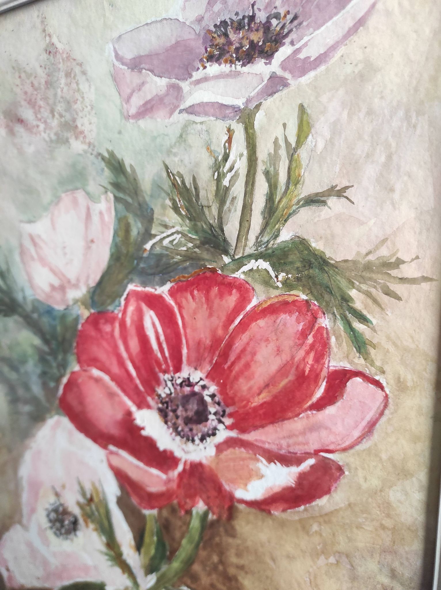 Aquarelle française de fleurs, coquelicots, signée DR