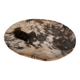 Very large empty pocket or petrified wooden flat