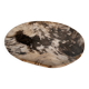 Very large empty pocket or petrified wooden flat