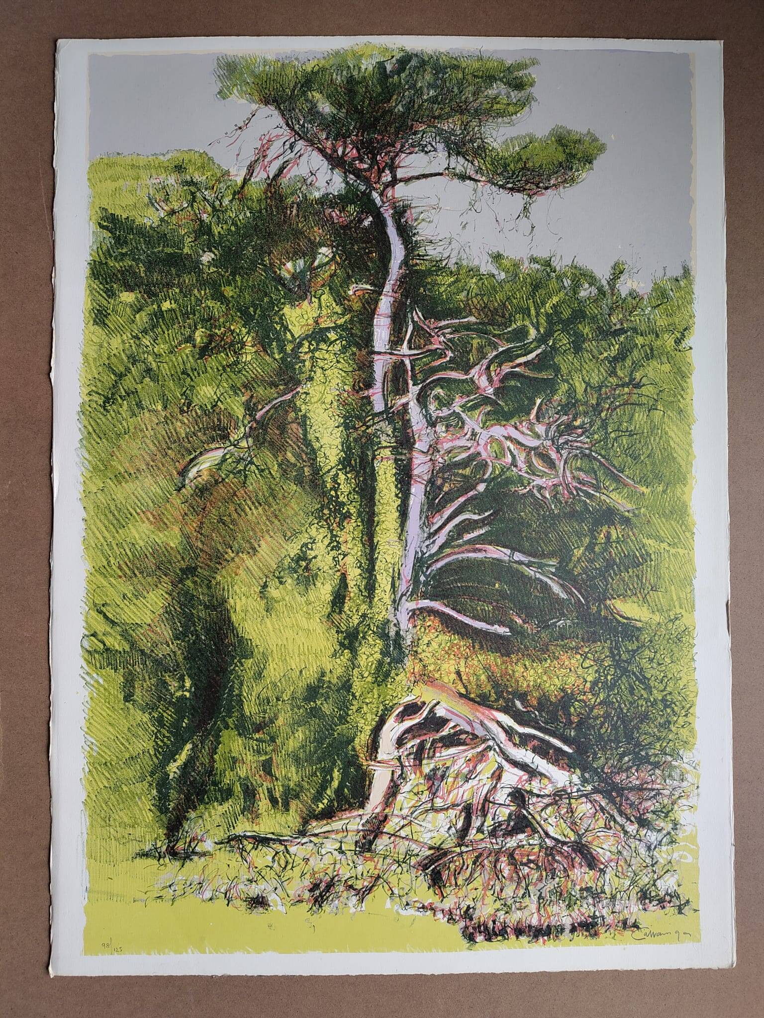 Giancarlo Cazzaniga - 1997 – Screen print & etching – 70×50 cm