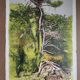 Giancarlo Cazzaniga - 1997 – Screen print & etching – 70×50 cm