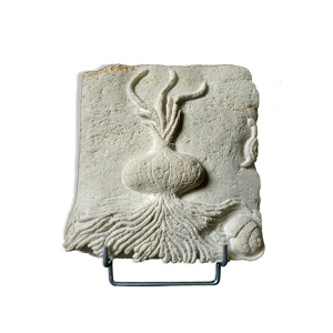 Diptyque, les oignons en bas-relief,