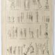 Antique print • Tree grafting • Original poster from 1922