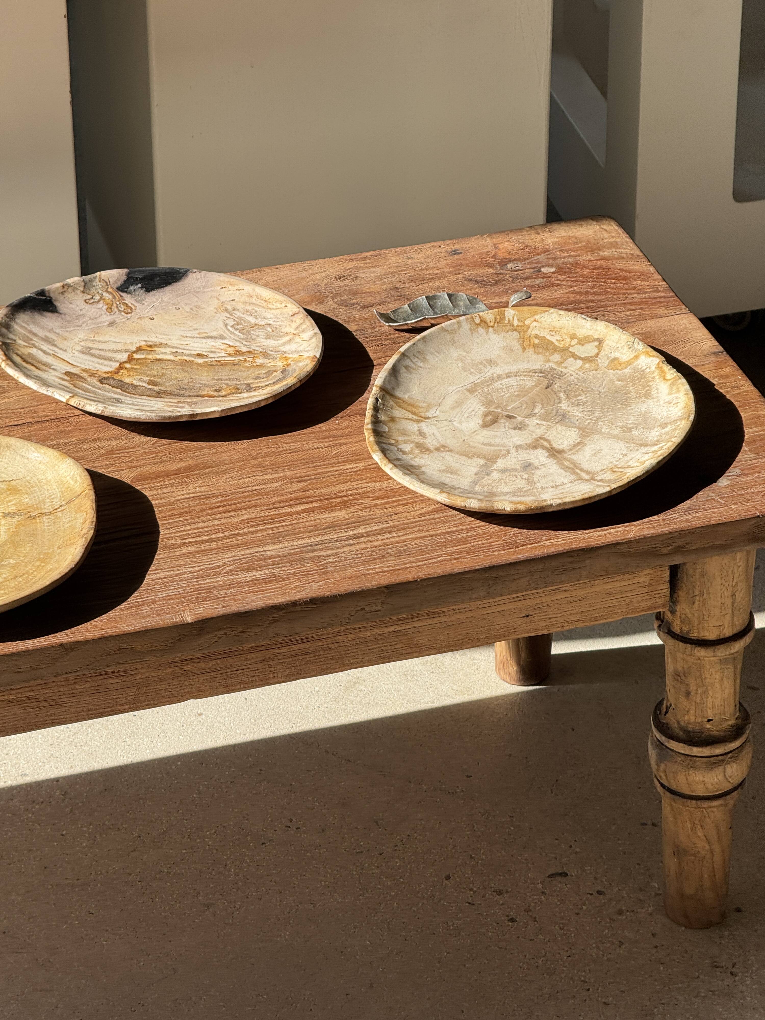 Small pocket tray or dish in speckled beige petrified wood D20 -3309