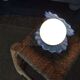 Shell lamp