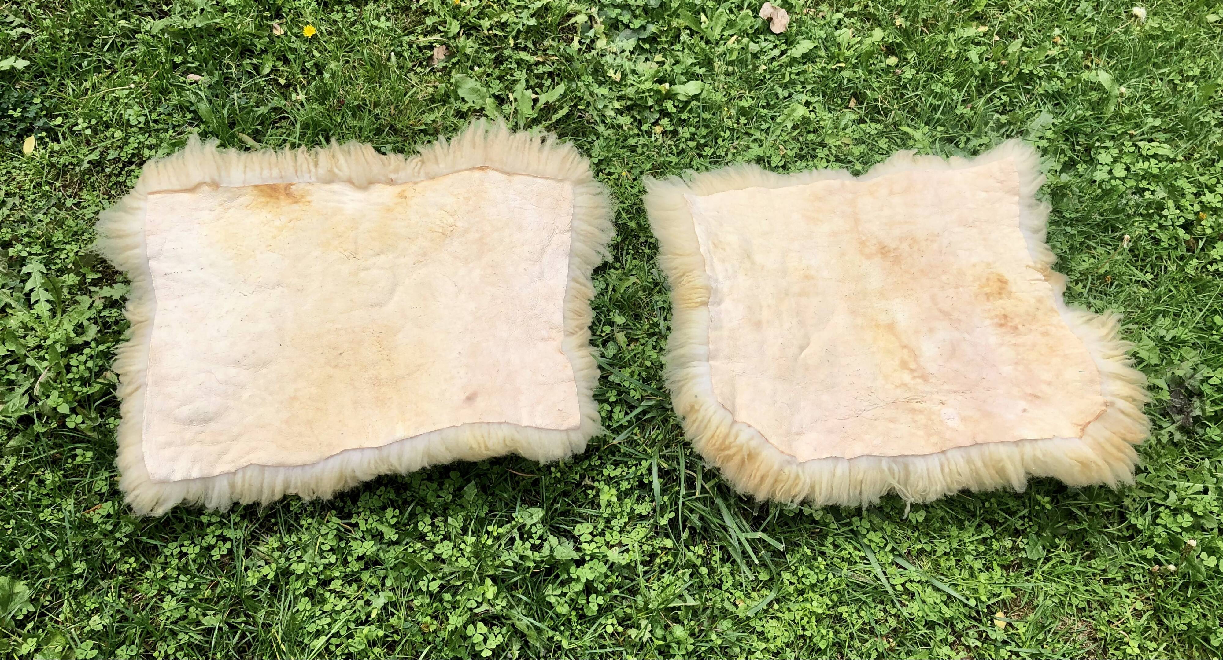 Sheepskins