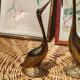 Duo of golden brass swans