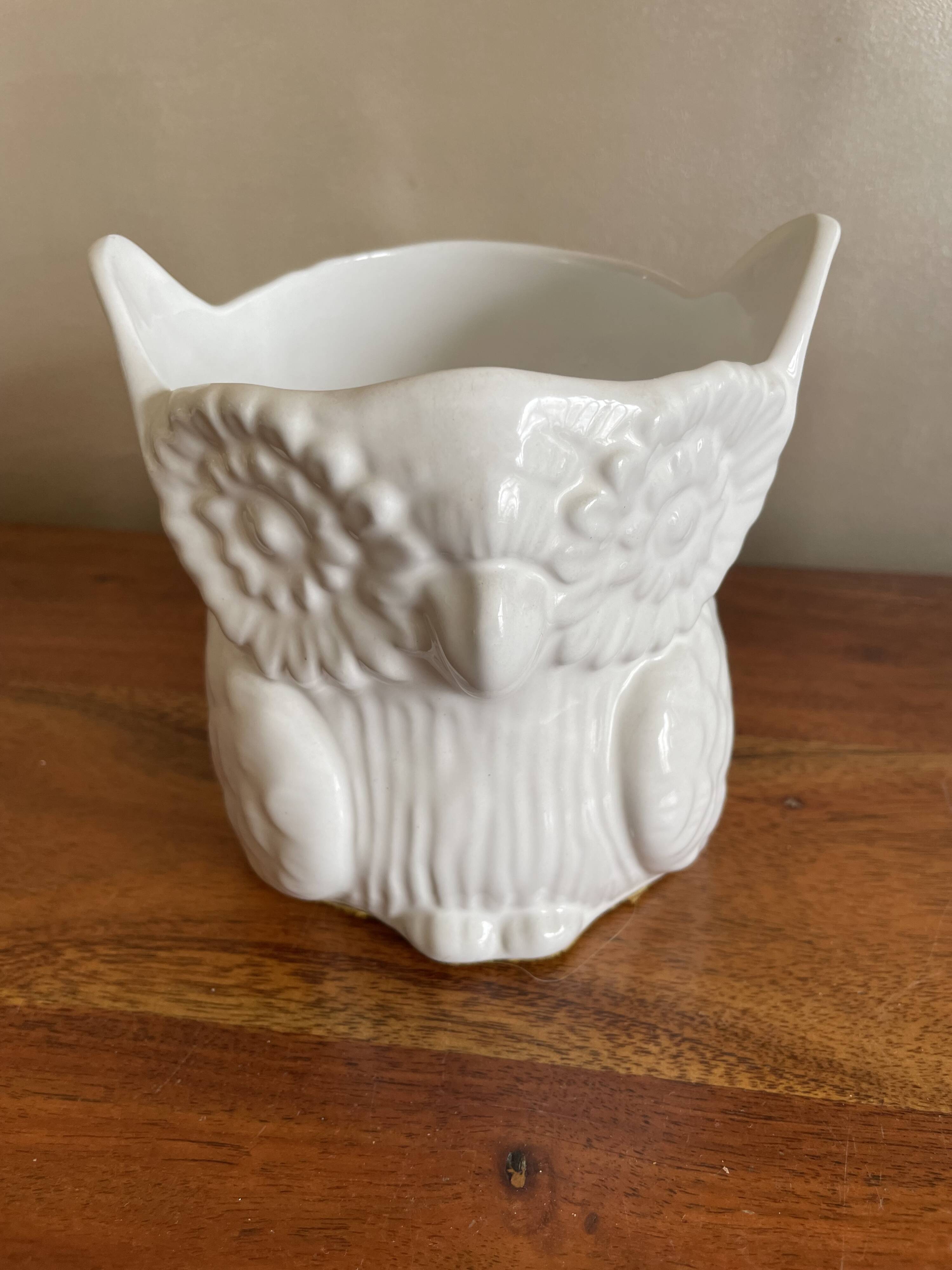 Owl plant pot
