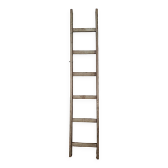 Old wooden ladder for decoration