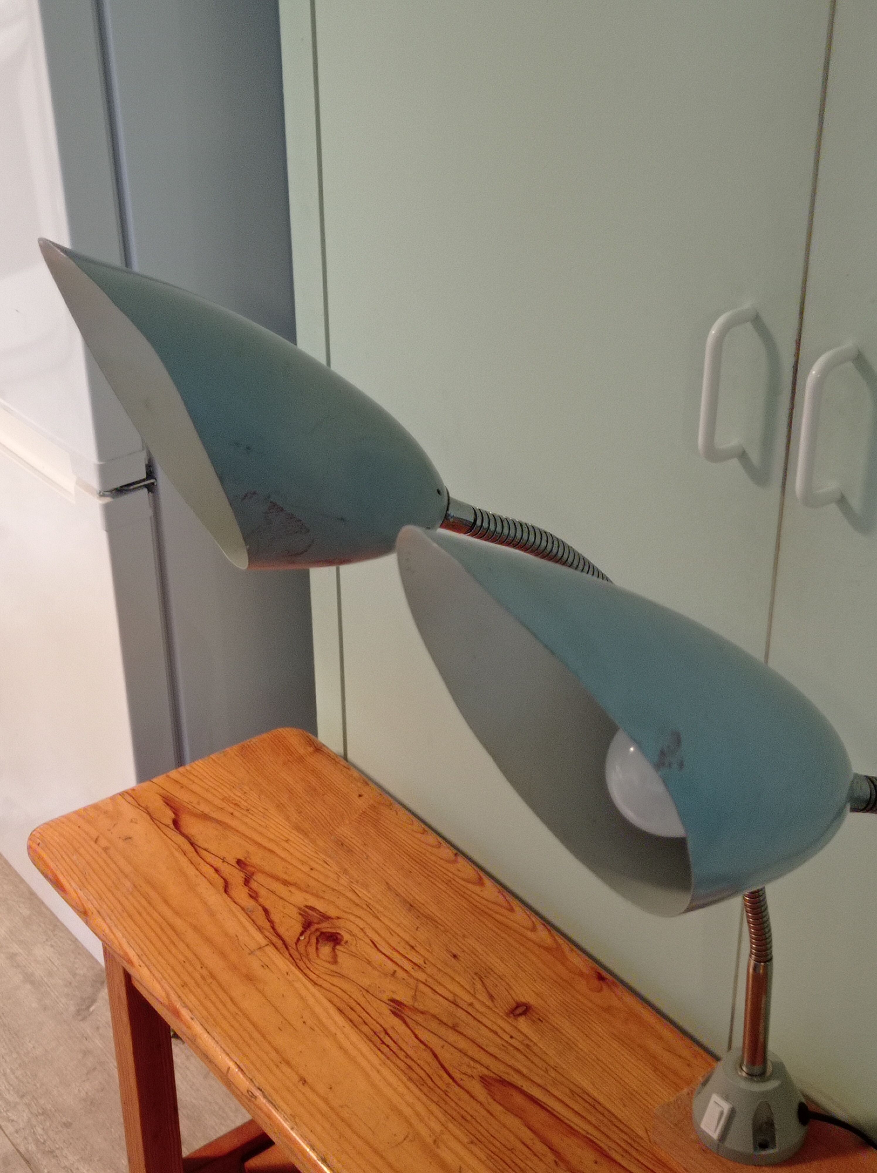 Pair of flexible industrial lamps