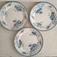 Serving part 18 plates model Royat de Sarreguemines