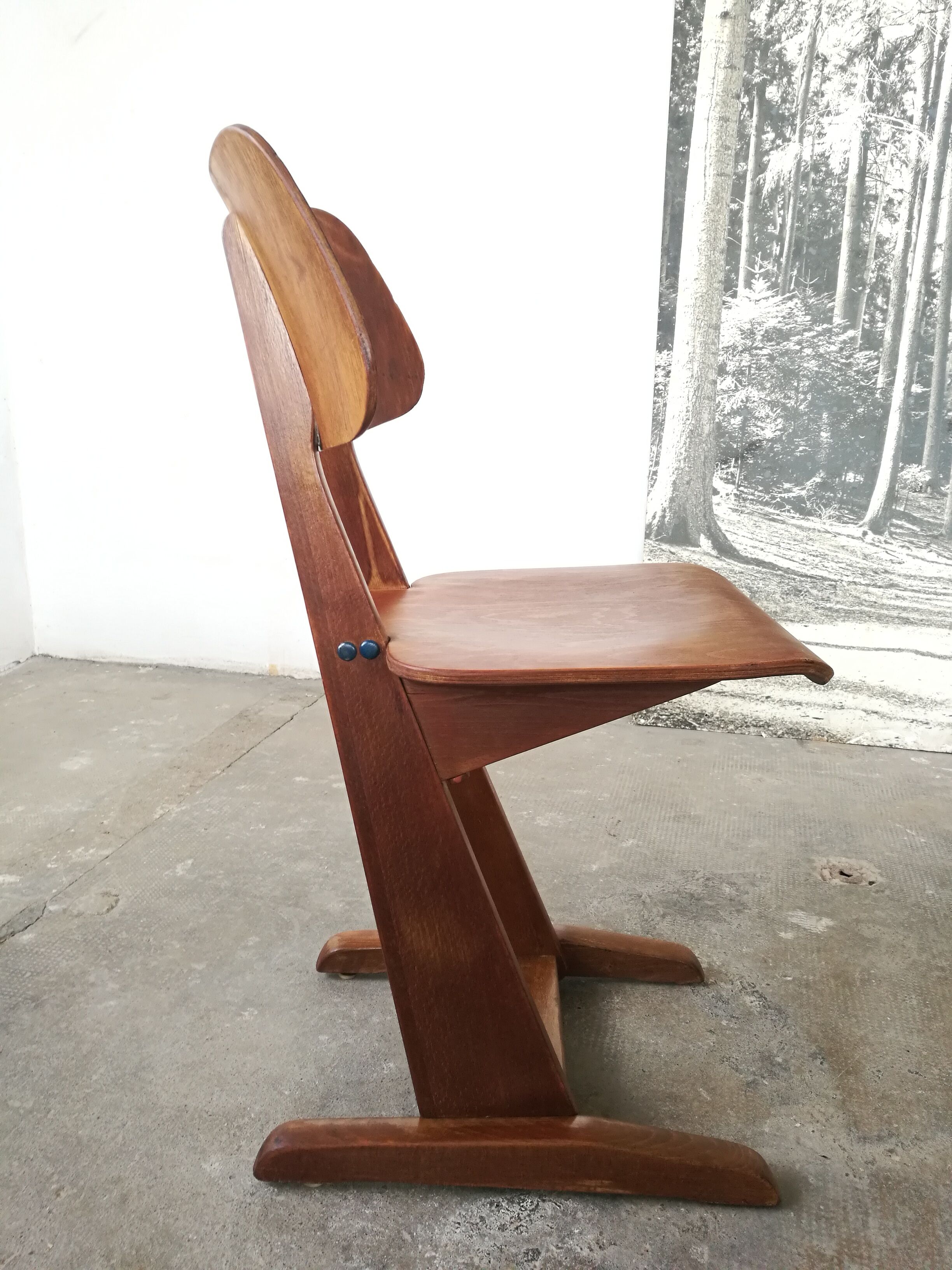 Adult Casala chair