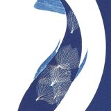 Koi carp cyanotype